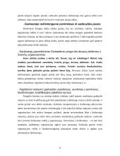 Nematerialus skatinimas 8 puslapis