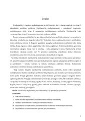 Nepilnamečių nusikalstamumas. Nepilnamečių nusikalstamumo prevencijos priemonės 2 puslapis