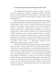 Nepilnamečių nusikalstamumo priežastys bei ankstyvoji nusikalstamumo prevencija 11 puslapis