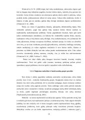 Nepilnamečių nusikalstamumo priežastys bei ankstyvoji nusikalstamumo prevencija 17 puslapis