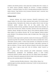 Nesąžininga konkurencija, jos draudimas ir patentinės klasifikacijos 11 puslapis