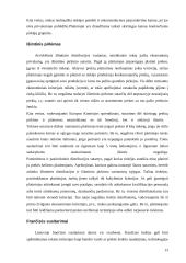 Nesąžininga konkurencija, jos draudimas ir patentinės klasifikacijos 13 puslapis