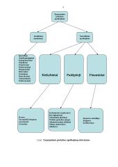 Netarifinės tarptautinės prekybos politikos priemonės. Jų taikymą pateisinantys argumentai 5 puslapis