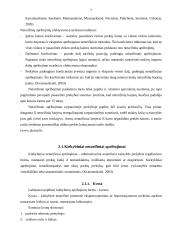 Netarifinės tarptautinės prekybos politikos priemonės. Jų taikymą pateisinantys argumentai 7 puslapis