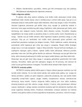 NetMate valdymo sistema 11 puslapis