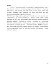 NetMate valdymo sistema 13 puslapis