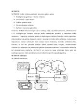 NetMate valdymo sistema 4 puslapis