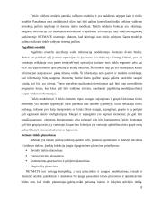 NetMate valdymo sistema 8 puslapis