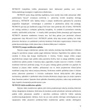 NetMate valdymo sistema 9 puslapis