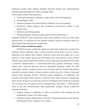 NetMate valdymo sistema 10 puslapis