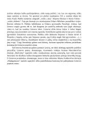 Tautinės tapatybės paieškos literatūroje 2 puslapis