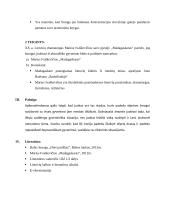 Kalbėjimo planas (Juoko tema literatūroje) 2 puslapis