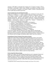 Nevyriausybinės organizacijos, teikusios socialines paslaugas tarpukario Lietuvoje 1918 - 1940 metais 3 puslapis