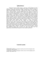 Nevyriausybinės organizacijos, teikusios socialines paslaugas tarpukario Lietuvoje 1918 - 1940 metais 5 puslapis
