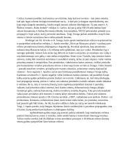 Totalitarizmo kritika literatūroje (B. Sruoga, J. Aputis, Dž. Orvelas) 3 puslapis