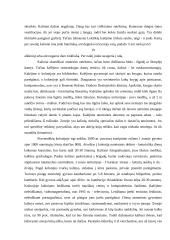 Nusikalstamumas 19 puslapis