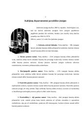 Nusikalstamumas 2 puslapis