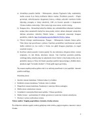 Jurgio Kunčino „Tūla“ – jausmo ir laiko romanas 6 puslapis