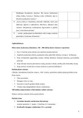 Jurgio Kunčino „Tūla“ – jausmo ir laiko romanas 8 puslapis