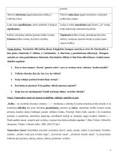 Martinaičio poezijos analizė 3 puslapis