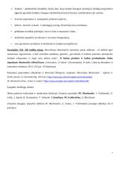 Martinaičio poezijos analizė 7 puslapis