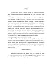 Ofiso darbo vietų išplanavimas, apšvietimo sistemos parinkimas 3 puslapis