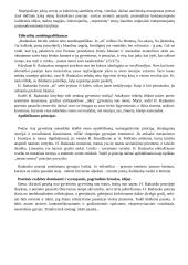 Radausko literatūrinis kontekstas 2 puslapis