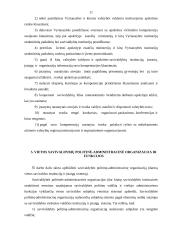Vietos valdymo ir savivaldos skirtumai 11 puslapis