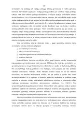 Vietos valdymo ir savivaldos skirtumai 13 puslapis