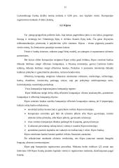 Ofšorinės zonos 11 puslapis