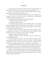 Ofšorinės zonos 13 puslapis