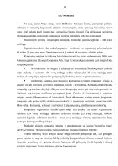 Ofšorinės zonos 14 puslapis