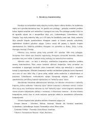 Ofšorinės zonos 3 puslapis