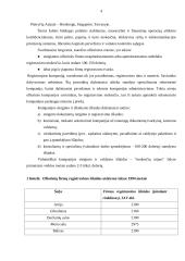 Ofšorinės zonos 4 puslapis