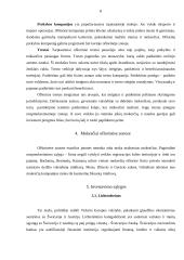 Ofšorinės zonos 8 puslapis