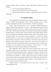 Oligopolinės rinkos ir įmonių tarpusavio ryšių apibūdinimas 10 puslapis