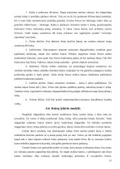 Oligopolinės rinkos ir įmonių tarpusavio ryšių apibūdinimas 11 puslapis