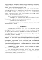 Oligopolinės rinkos ir įmonių tarpusavio ryšių apibūdinimas 12 puslapis