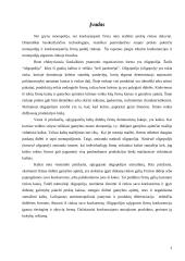 Oligopolinės rinkos ir įmonių tarpusavio ryšių apibūdinimas 2 puslapis