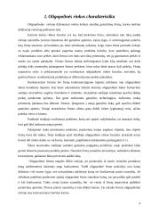 Oligopolinės rinkos ir įmonių tarpusavio ryšių apibūdinimas 3 puslapis