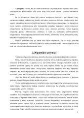 Oligopolinės rinkos ir įmonių tarpusavio ryšių apibūdinimas 5 puslapis