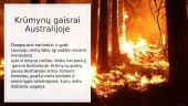 Australijos gaisrai 3 puslapis