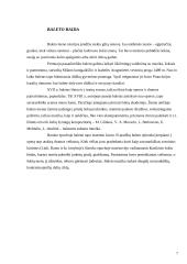 Opera ir baletas 7 puslapis