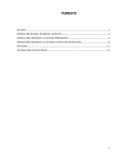 Operacinės rizikos valdymas bankuose 2 puslapis