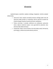 Operacinės rizikos valdymas bankuose 11 puslapis