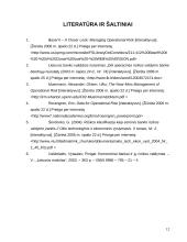 Operacinės rizikos valdymas bankuose 12 puslapis