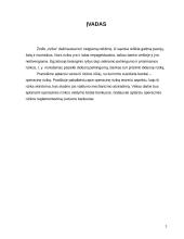 Operacinės rizikos valdymas bankuose 3 puslapis