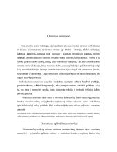 Oratoriaus asmenybė 2 puslapis