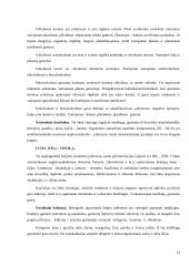 Organinės rišamosios medžiagos 11 puslapis