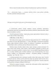 Organinės rišamosios medžiagos 13 puslapis